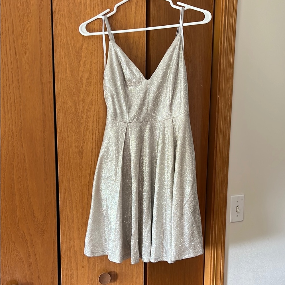 Lulu's Silver Sleeveless Fit and Flare Mini Dress